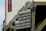 Kittiwakes, Mumbles Pier