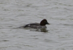 Goldeneye, Sandy Water Park