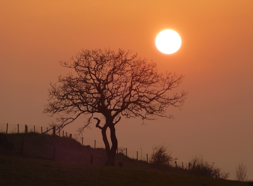 Sunset, Gopa Hill