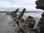 Shipwreck, Cefn Sidan