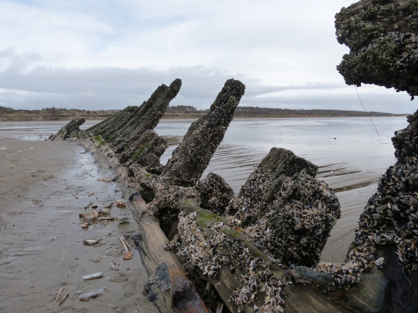 Shipwreck, Cefn Sidan