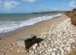 Pillbox on Hendra Beach