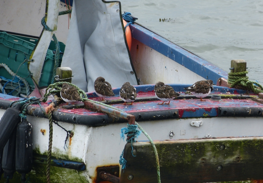 Turstones, Penzance