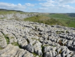 Limestone Pavement, Malham Cove