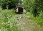 Thames and Severn Canal