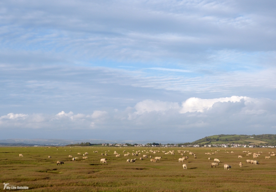 Llanrhidian Marsh, Gower