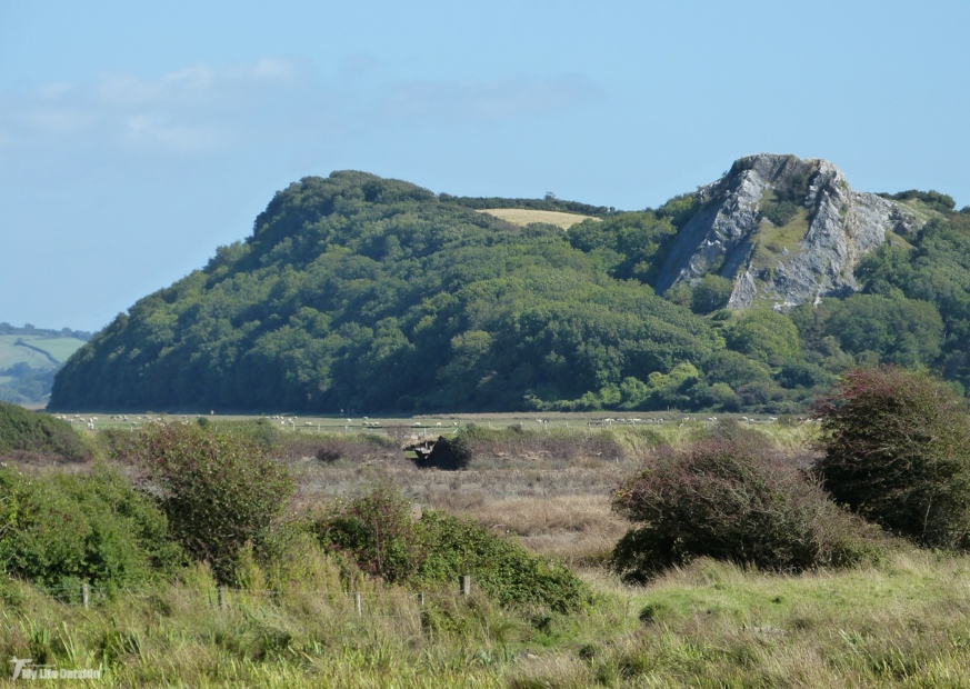 Cwm Ivy Marsh seawall breach