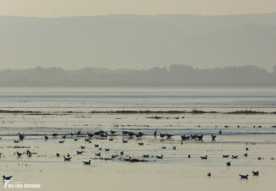 Penclawdd High Tide