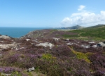 St Davids Head