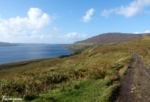 Walk to MacCulloch’s Fossil Tree, Isle of Mull