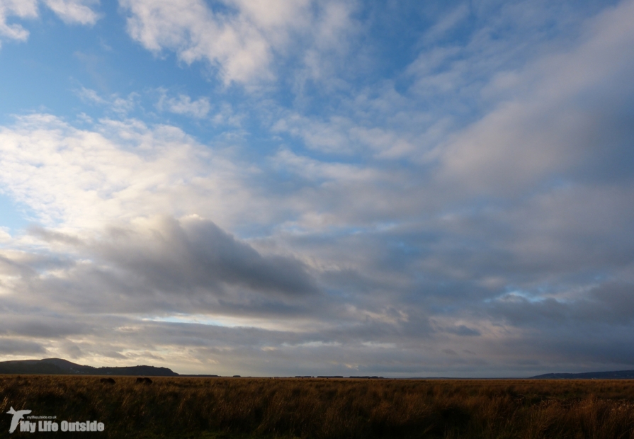 Llanrhidian Marsh, Gower