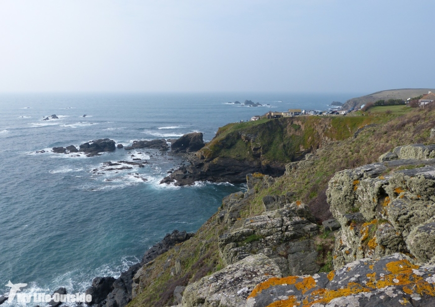 Lizard Point