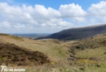 Craig Cerrig-Gleisiad