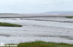 Kidwelly Quay