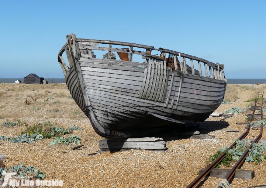 Dungeness