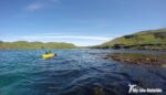 Calgary by Kayak