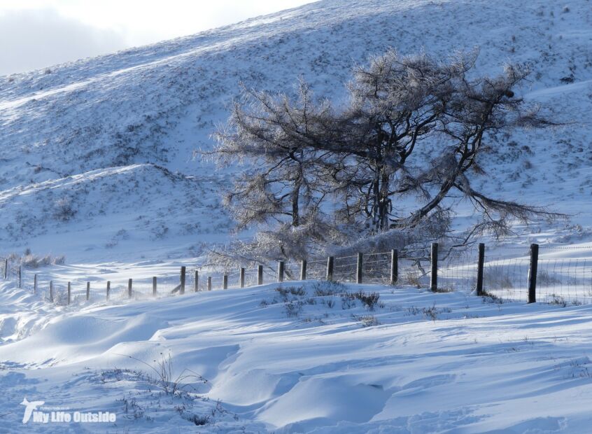 Craig Cerrig-Gleisiad