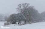 December Snow in Leeds