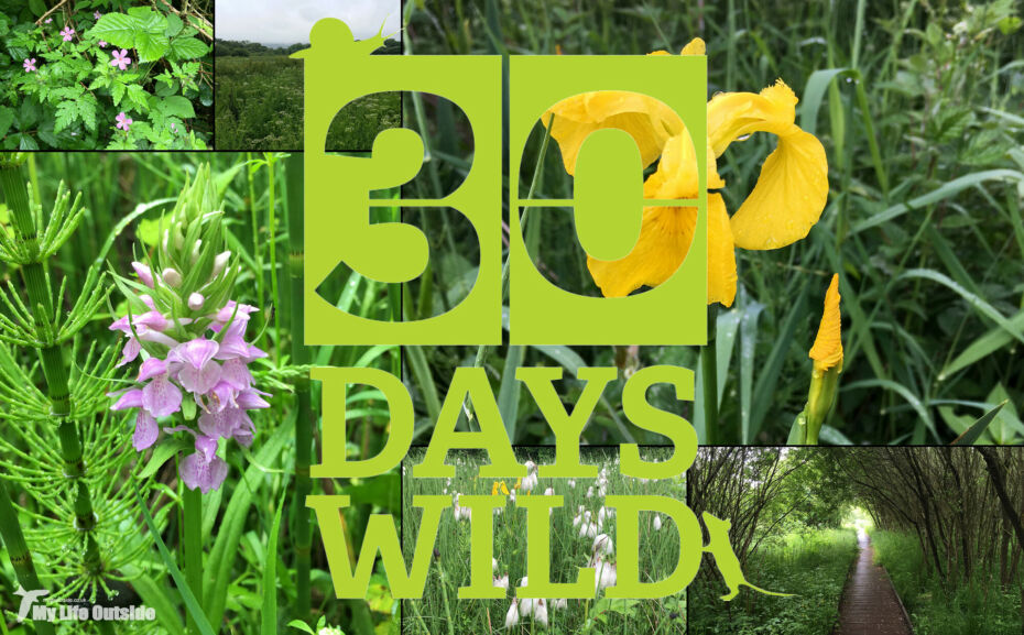 #30DaysWild