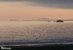 Newgale Sunset