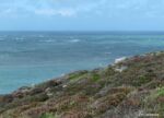 Strumble seawatch