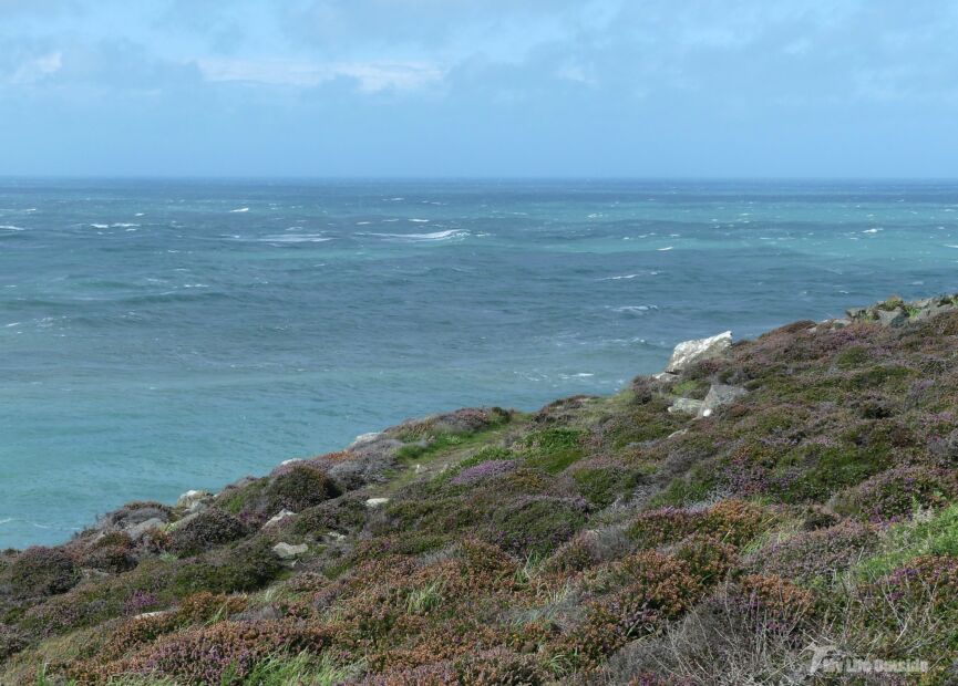 Strumble seawatch