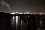 Bioluminescent Plankton Aberavon